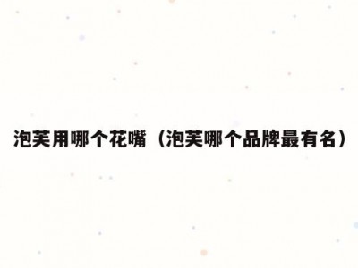 泡芙用哪个花嘴（泡芙哪个品牌最有名）