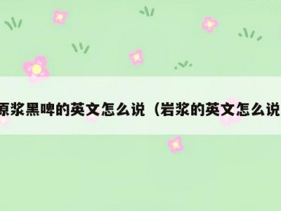 原浆黑啤的英文怎么说（岩浆的英文怎么说）
