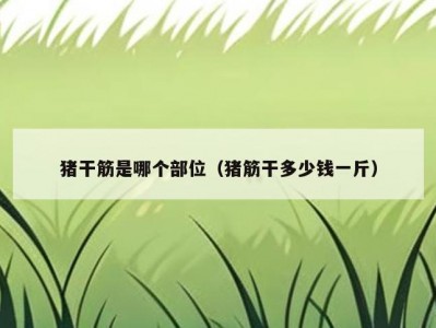 猪干筋是哪个部位（猪筋干多少钱一斤）