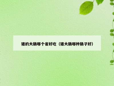 猪的大肠哪个省好吃（猪大肠哪种肠子好）