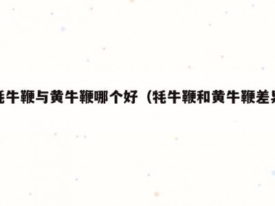 耗牛鞭与黄牛鞭哪个好（牦牛鞭和黄牛鞭差异）
