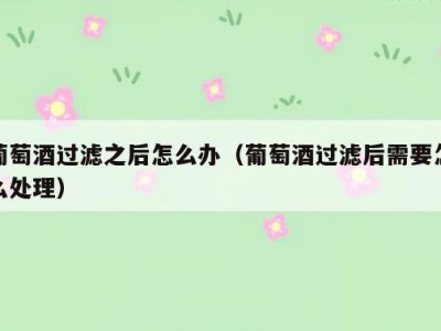 葡萄酒过滤之后怎么办（葡萄酒过滤后需要怎么处理）