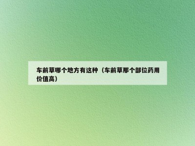 车前草哪个地方有这种（车前草那个部位药用价值高）