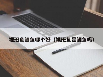 裸班鱼鲫鱼哪个好（裸班鱼是鲤鱼吗）