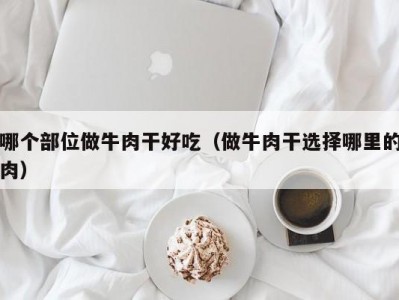 哪个部位做牛肉干好吃（做牛肉干选择哪里的肉）