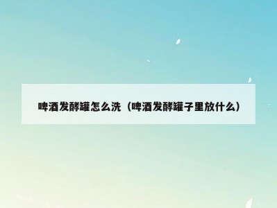 啤酒发酵罐怎么洗（啤酒发酵罐子里放什么）