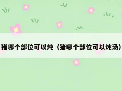 猪哪个部位可以炖（猪哪个部位可以炖汤）