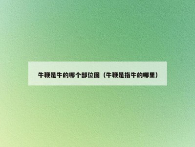 牛鞭是牛的哪个部位图（牛鞭是指牛的哪里）