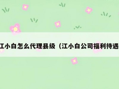 江小白怎么代理县级（江小白公司福利待遇）
