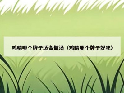 鸡精哪个牌子适合做汤（鸡精那个牌子好吃）