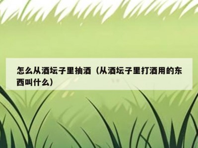怎么从酒坛子里抽酒（从酒坛子里打酒用的东西叫什么）