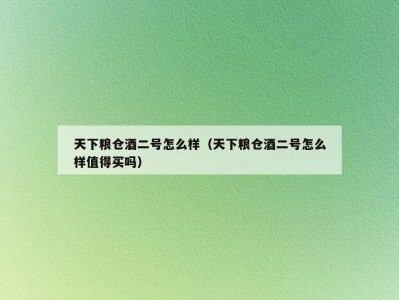 天下粮仓酒二号怎么样（天下粮仓酒二号怎么样值得买吗）