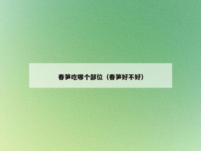 春笋吃哪个部位（春笋好不好）