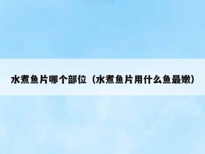 水煮鱼片哪个部位（水煮鱼片用什么鱼最嫩）