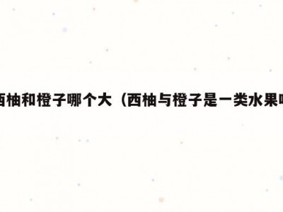 西柚和橙子哪个大（西柚与橙子是一类水果吗）