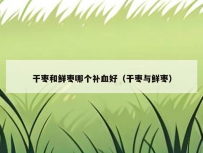 干枣和鲜枣哪个补血好（干枣与鲜枣）